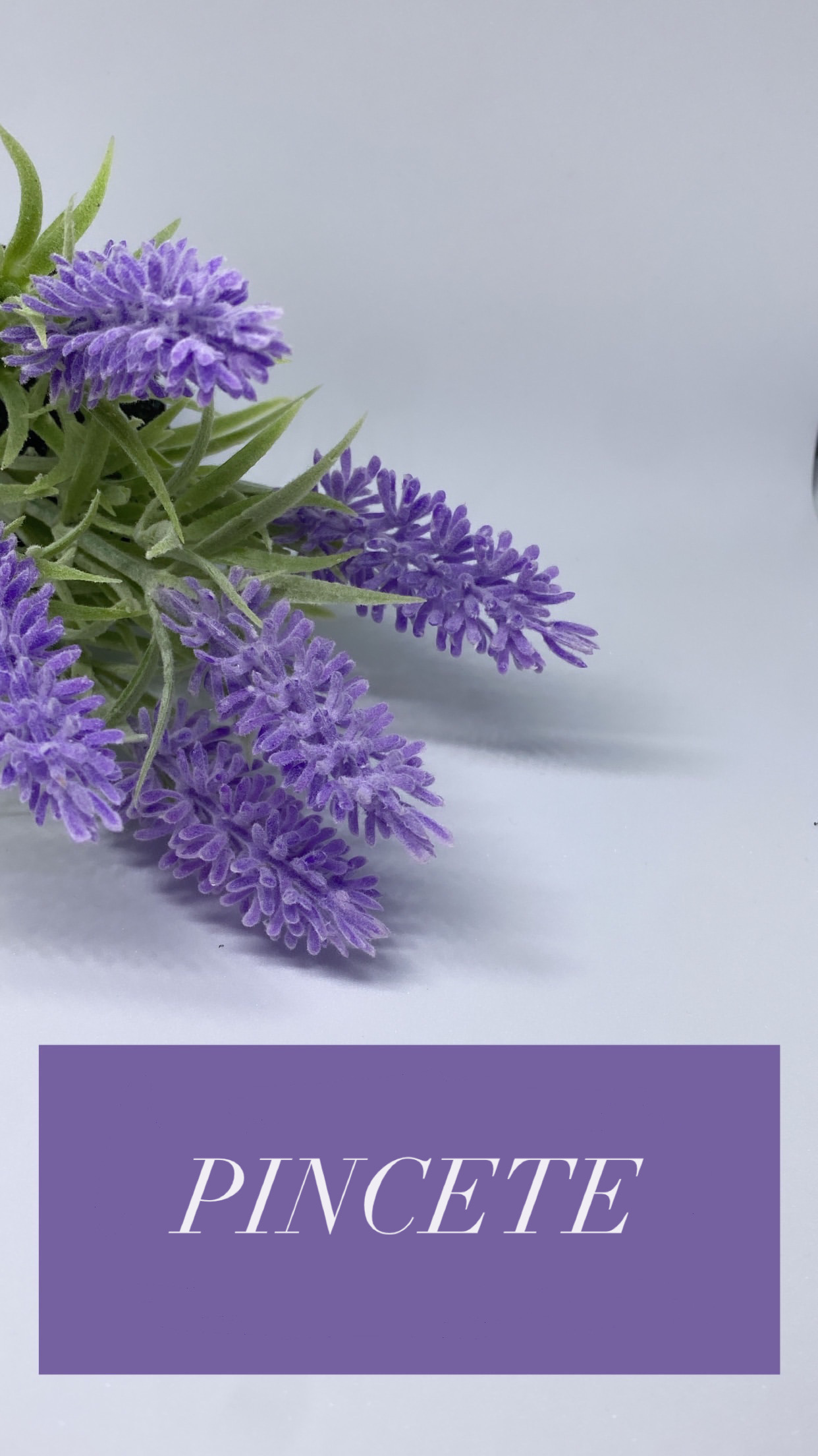 https://helena-webshop.zlaja.live/category-photos/2a3f1b81-549f-4fab-b509-ec35dfe42f64.jpeg