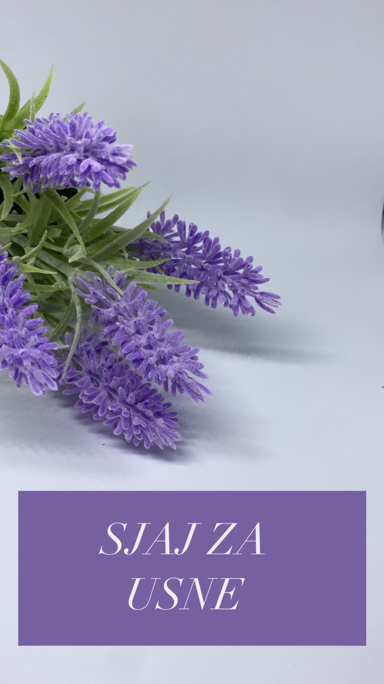 https://helena-webshop.zlaja.live/category-photos/83a2ac7a-028d-4586-965d-b9c7279e3e12.jpeg