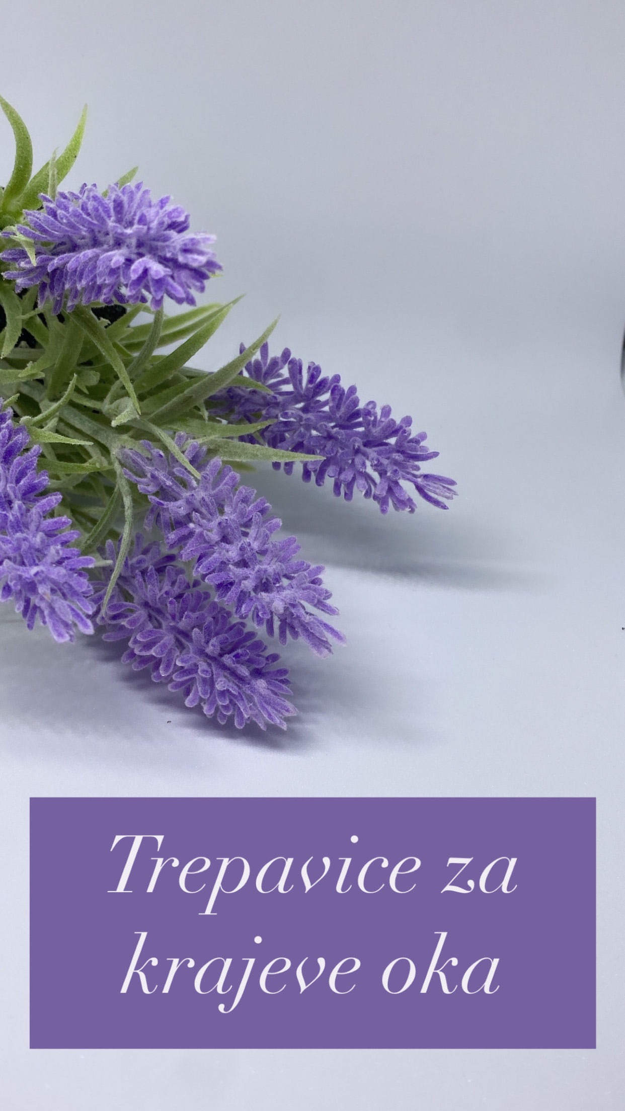 https://helena-webshop.zlaja.live/category-photos/d58d8324-d16f-4e4c-aac5-38131164b8f9.jpeg